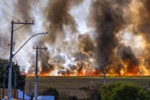 Studiu: Fumul incendiilor de vegetaţie poate reduce producţia de energie solară cu până la 70%